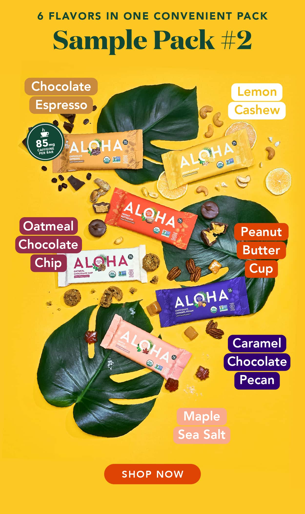 Introducing Sample Pack #2: Chocolate Espresso, Lemon Cashew, Oatmeal Chocolate Chip, Peanut Butter Cup, Chocolate Caramel Pecan, and Maple Sea Salt
