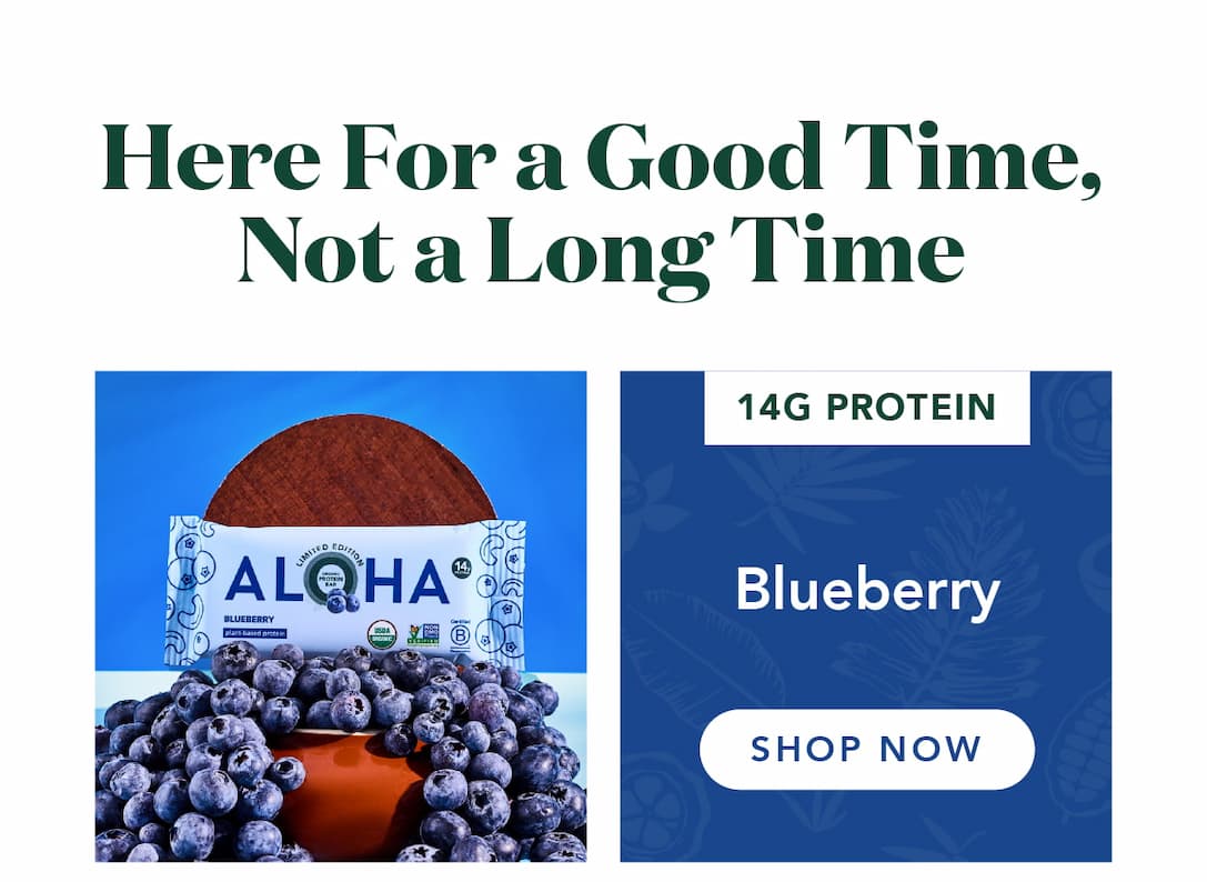 Shop Blueberry Bars