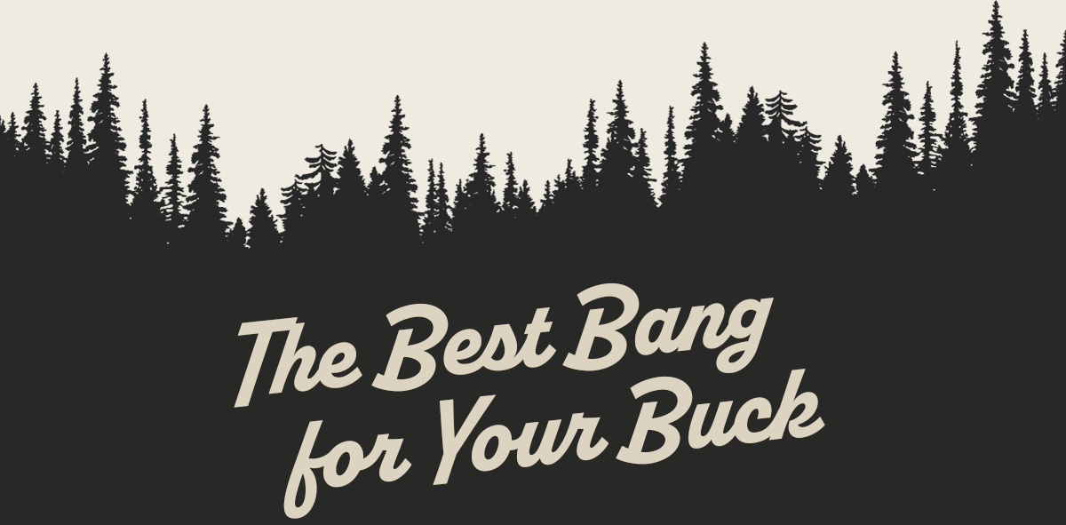 The Best Bang for Your Buck