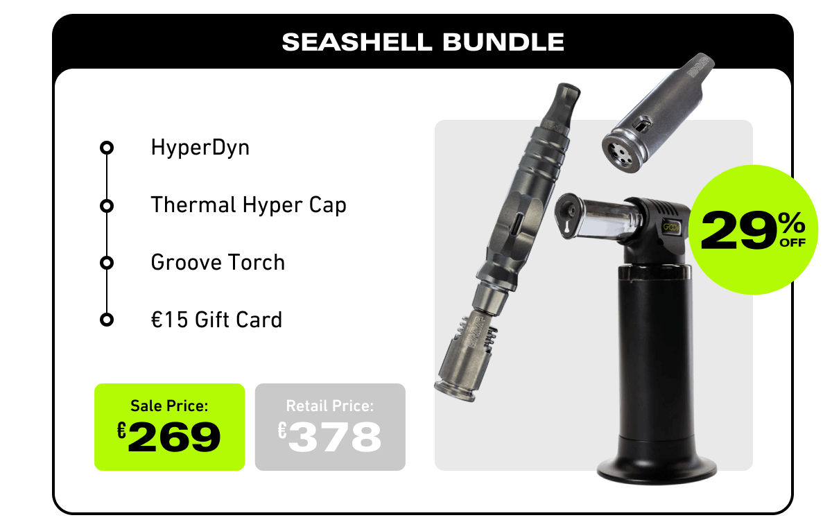 Seashell Bundle