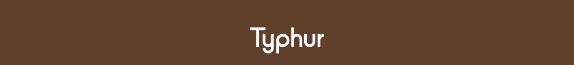 Typhur Black Friday Sale
