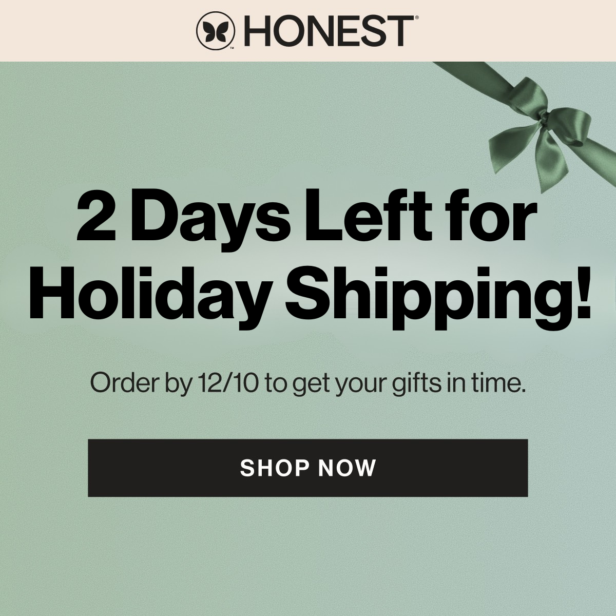 2 Days Left for Holiday Shipping!