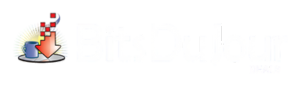 BitsDuJour homepage
