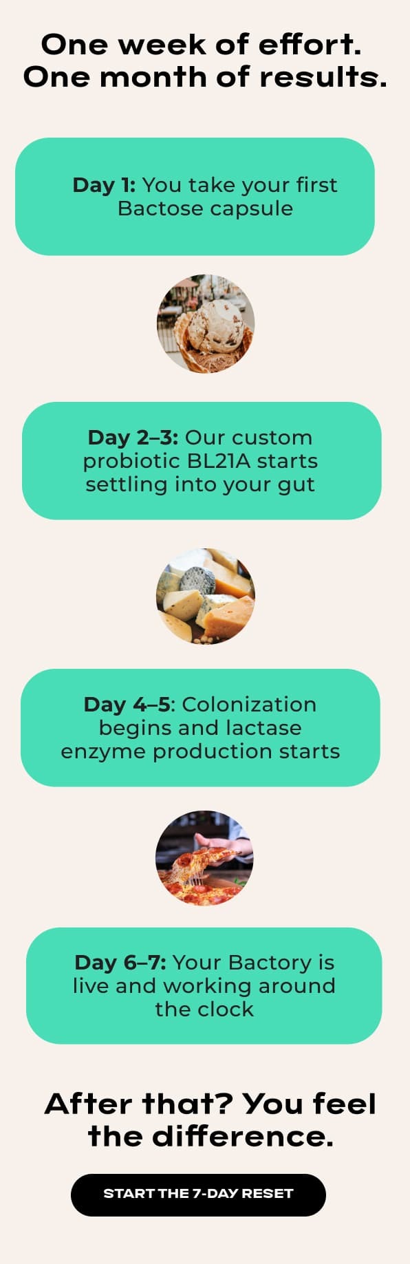 One week of effort.  One month of results.. Day 1: You take your first Bactose capsule. Day 2–3: Our custom probiotic BL21A starts settling into your gut. Day 4–5: Colonization begins and lactase enzyme production starts. Day 6–7: Your Bactory is live and working around the clock. After that? You feel the difference. | START THE 7-DAY RESET