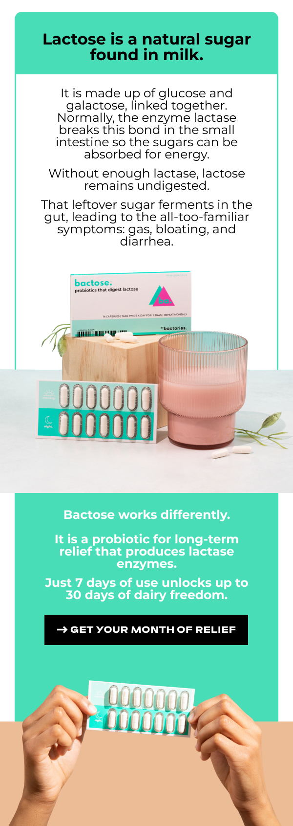 Lactose is a natural sugar found in milk. It is made up of glucose and galactose, linked together. Normally, the enzyme lactase breaks this bond in the small intestine so the sugars can be absorbed for energy. Without enough lactase, lactose remains undigested. That leftover sugar ferments in the gut, leading to the all-too-familiar symptoms: gas, bloating, and diarrhea. Bactose works differently. It is a probiotic for long-term relief that produces lactase enzymes. Just 7 days of use unlocks up to 30 days of dairy freedom. → Get your month of relief.