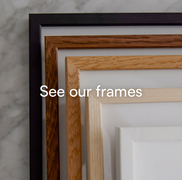 See our frames
