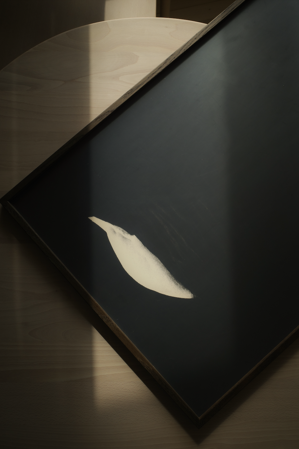 Swan