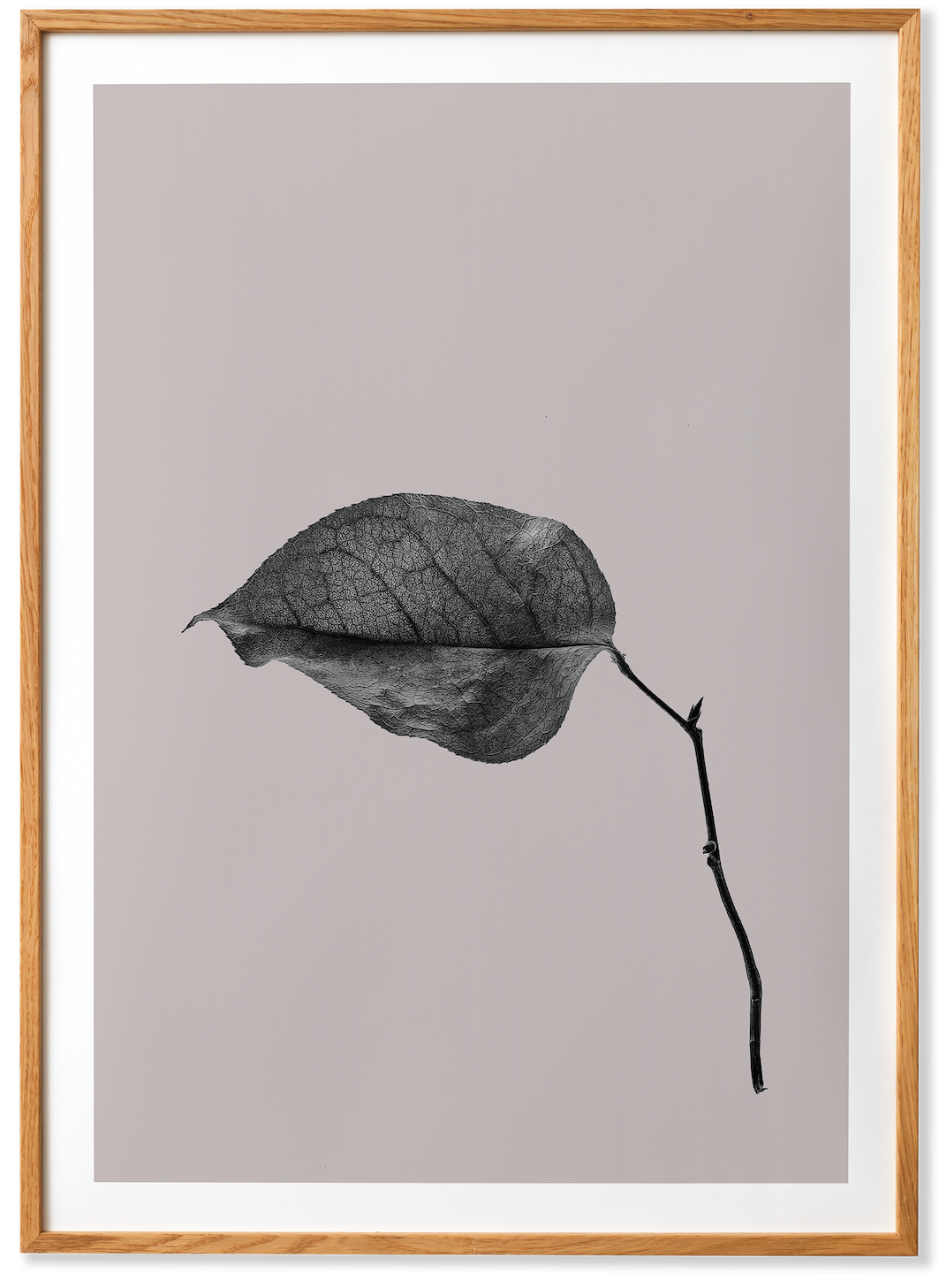 Sabi Leaf 03