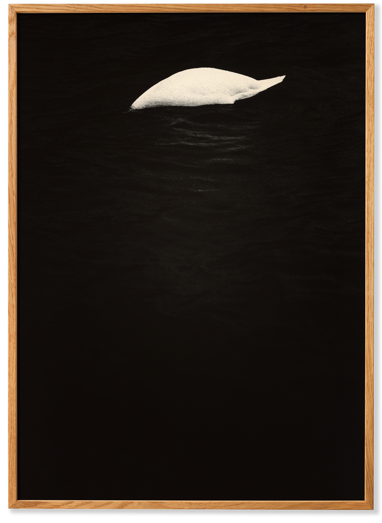 Swan