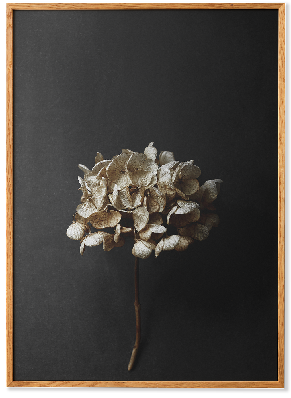 Still Life 04
