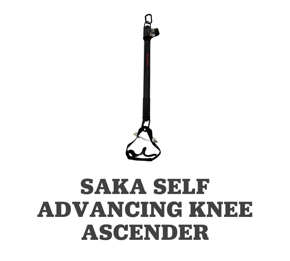 Your Whole Order FREE TreeStuff