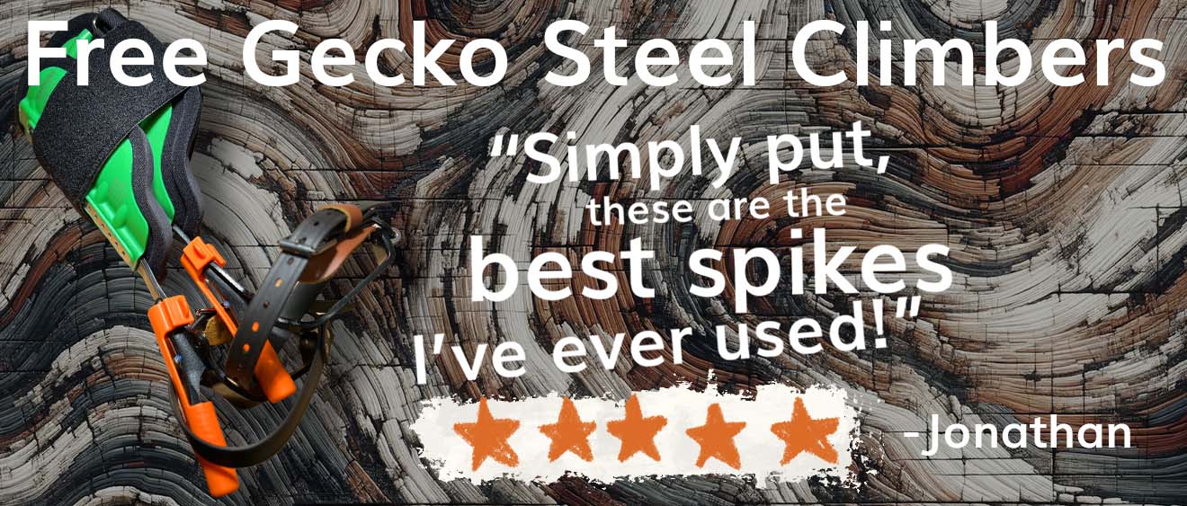 FREE Gecko Steel Climbers TreeStuff
