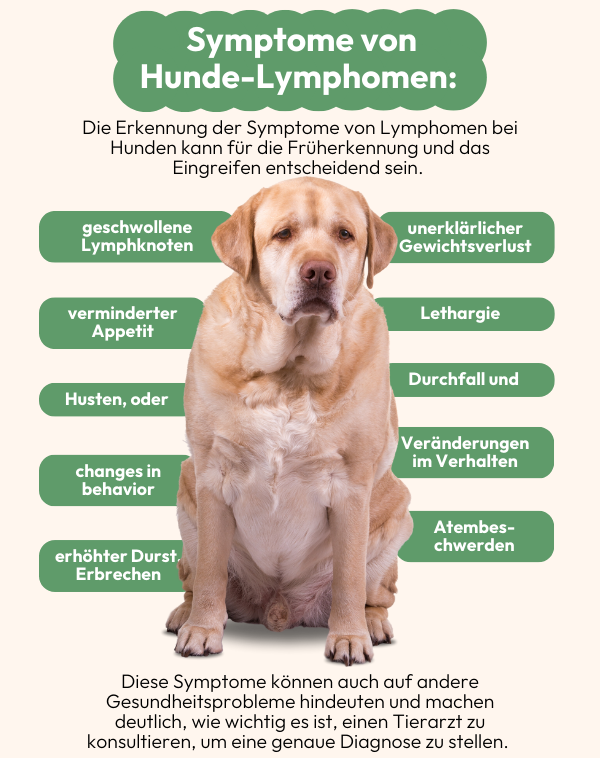 Hundegesundheit LymphomSymptome beim Hund verstehen Belly