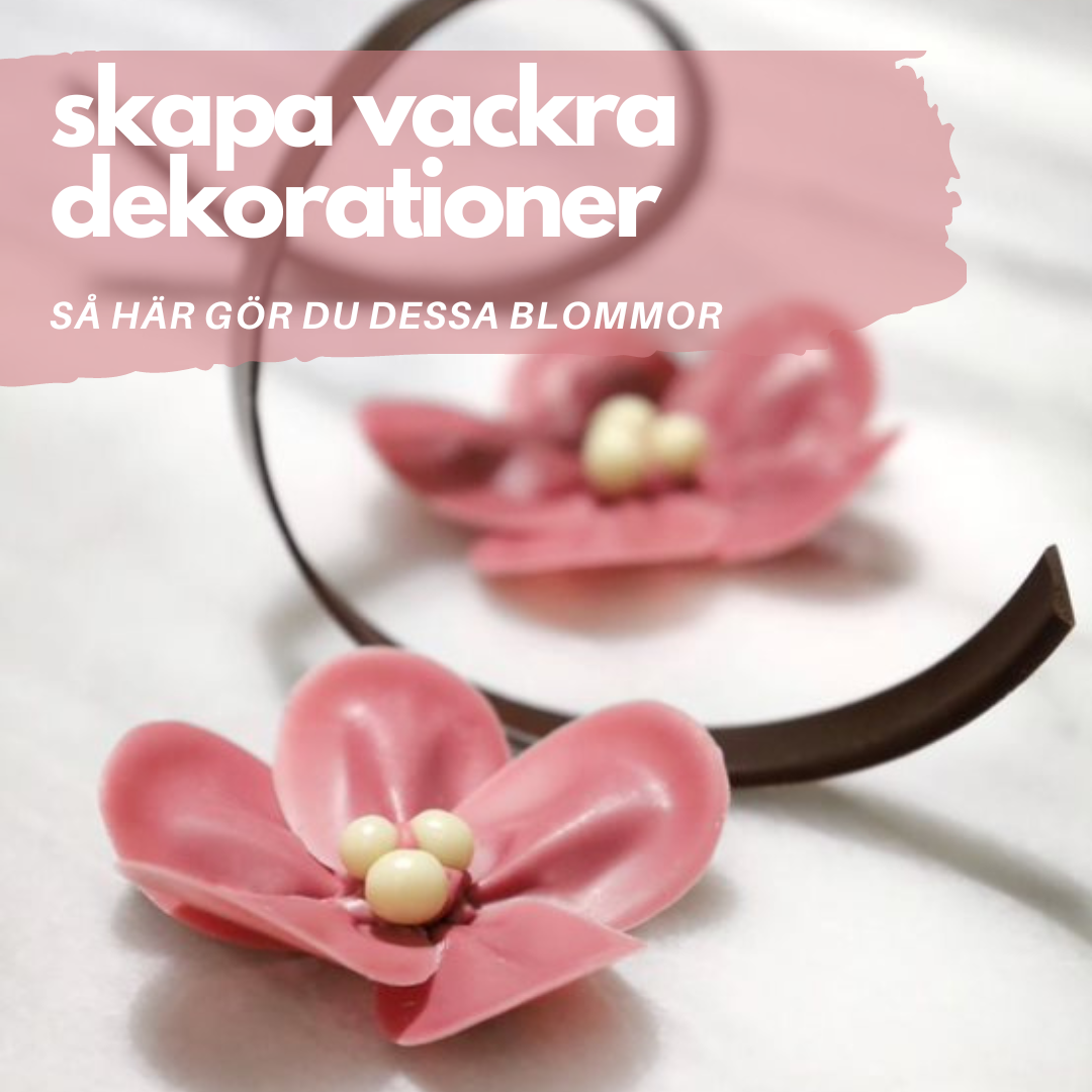 Chokladblommor