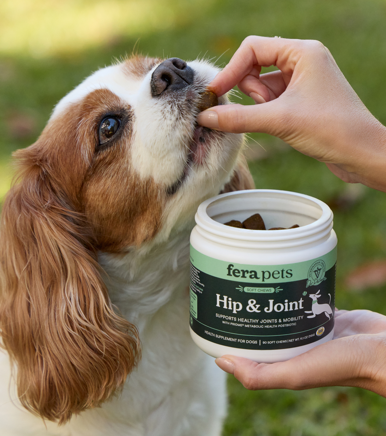Fera Pets