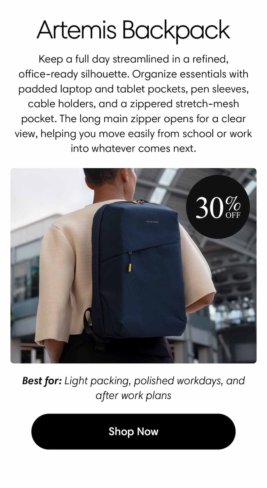 Artemis Backpack — 30% off