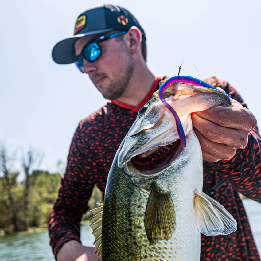 SAVE 15% | CODE USA15