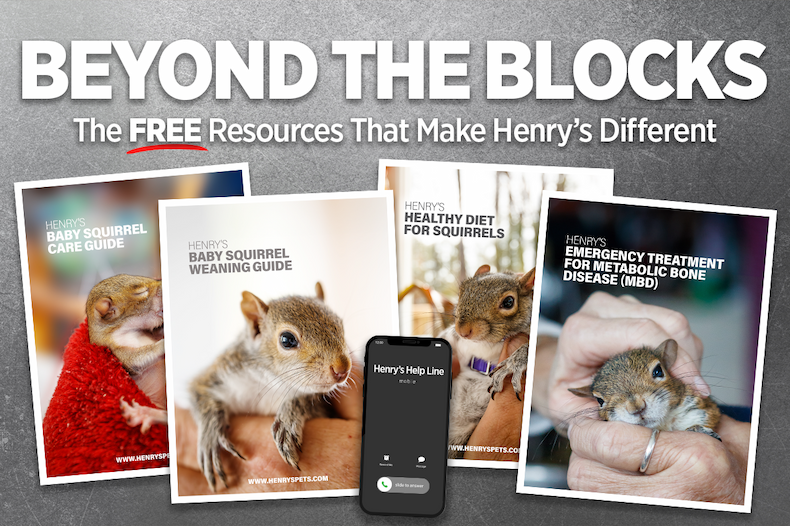 Beyond the Blocks: The Resources That Make Henry’s Truly Different