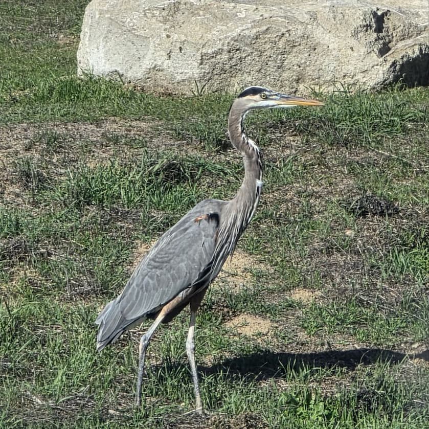 Gift Certificate Sale!