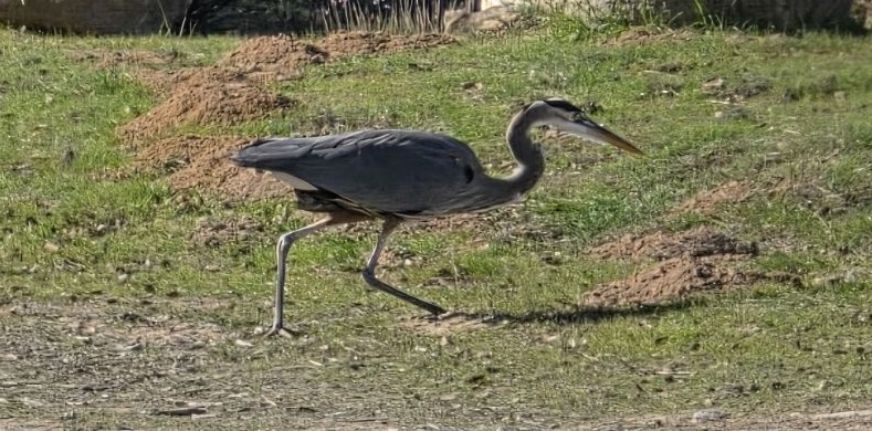 Gift Certificate Sale!