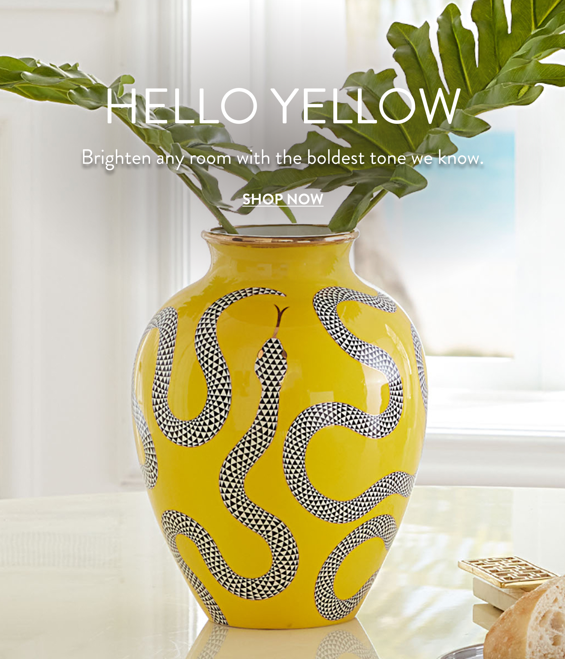 Shop Yellow