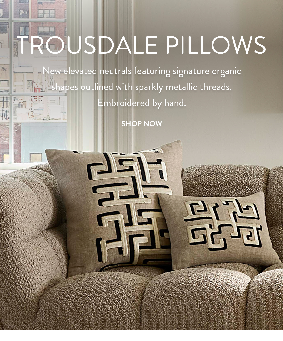 Shop Trousdale Pillows