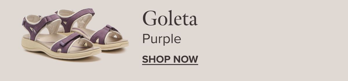 Goleta - Navy