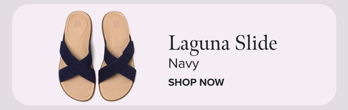Laguna Slide