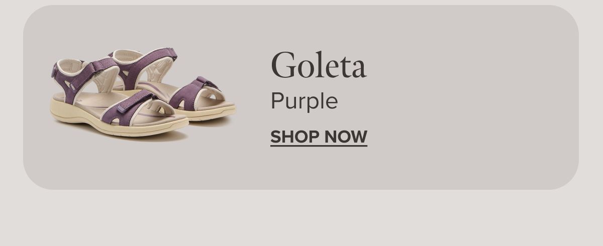 Goleta - Purple