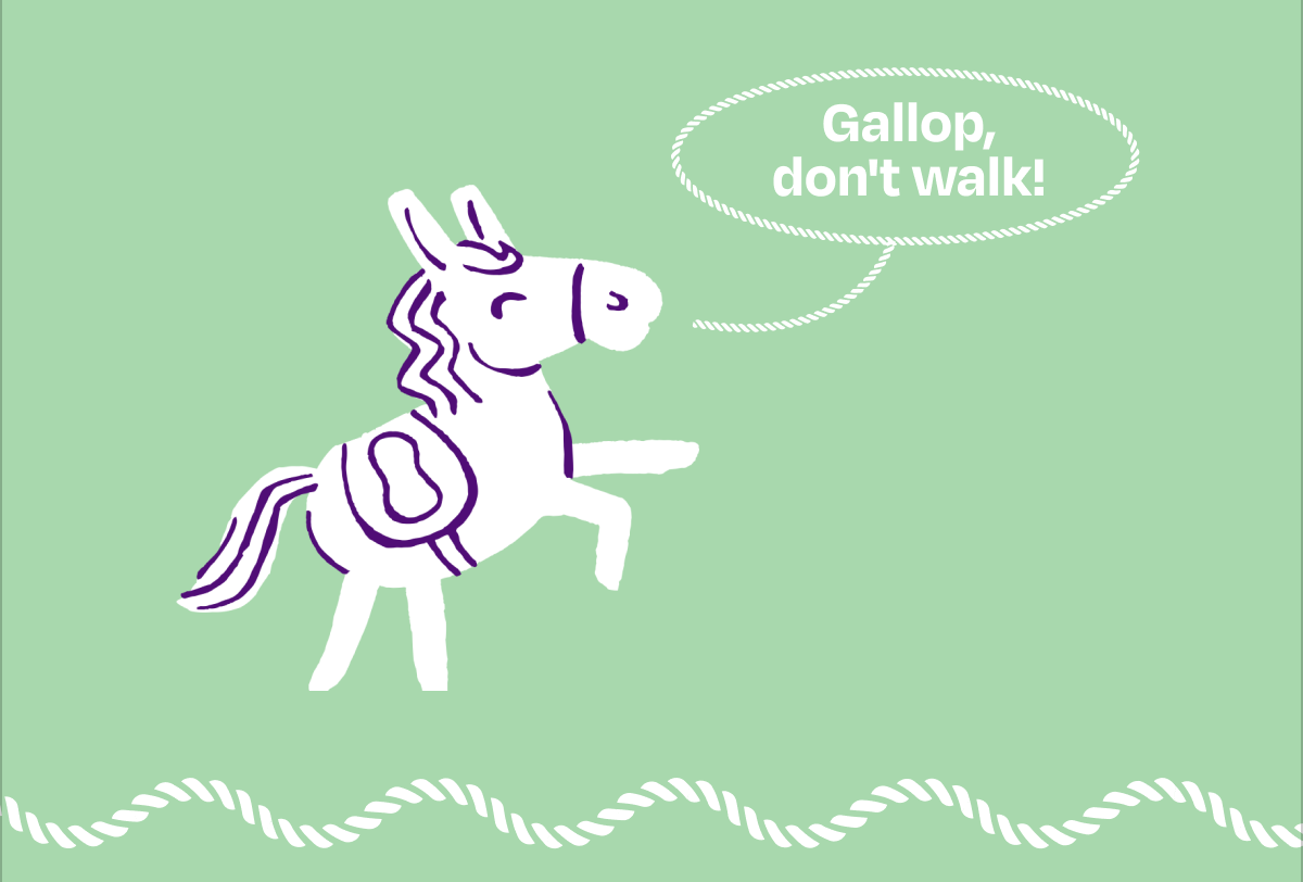 Gallop don't walk