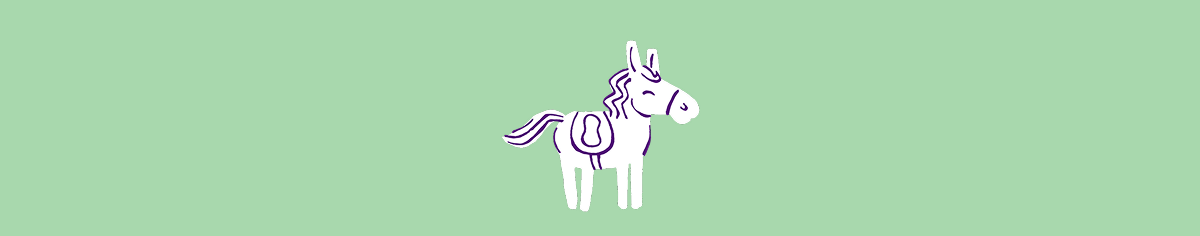 Pony