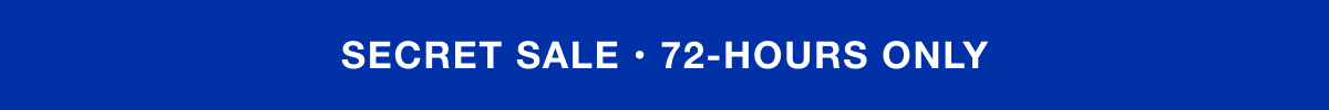 Secret Sale 72 Hours Only