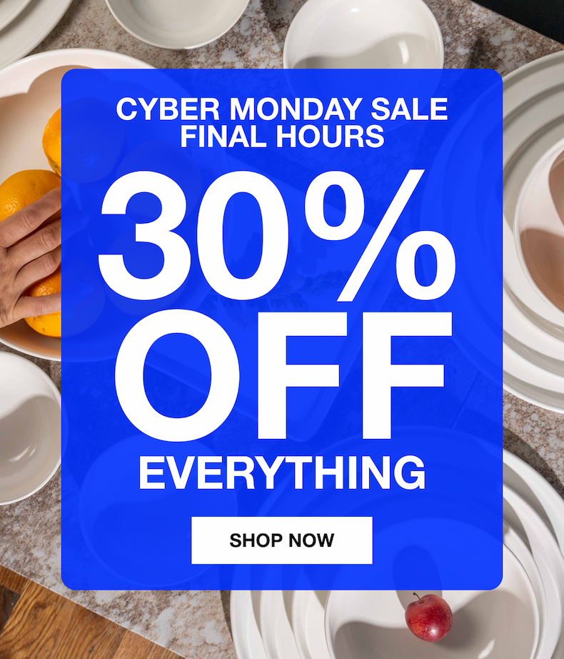 Cyber monday sale final hours