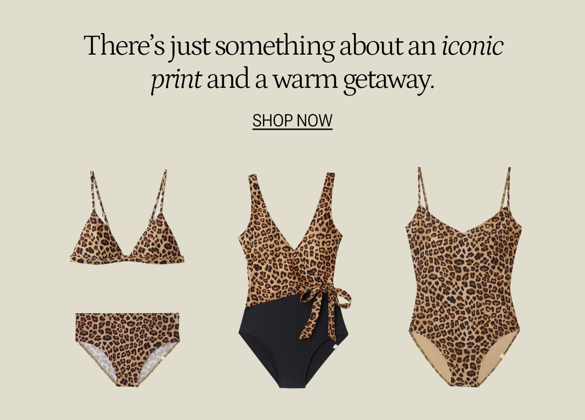 Leopard print one piece swimsuit and bikini top & bottom