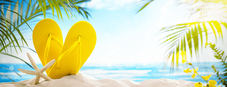 Consulte aqui a nossa colecção