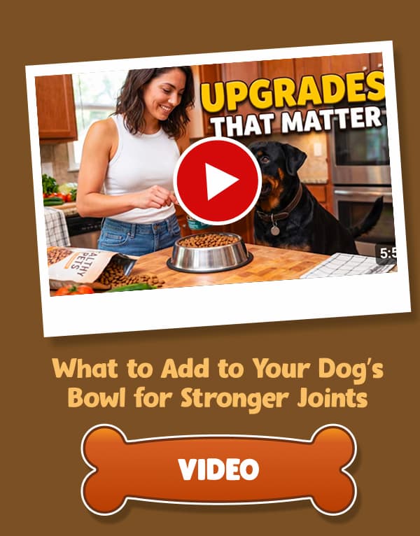 The 4-in-1 Way to Support Healthy Digestion & Firm Stools 