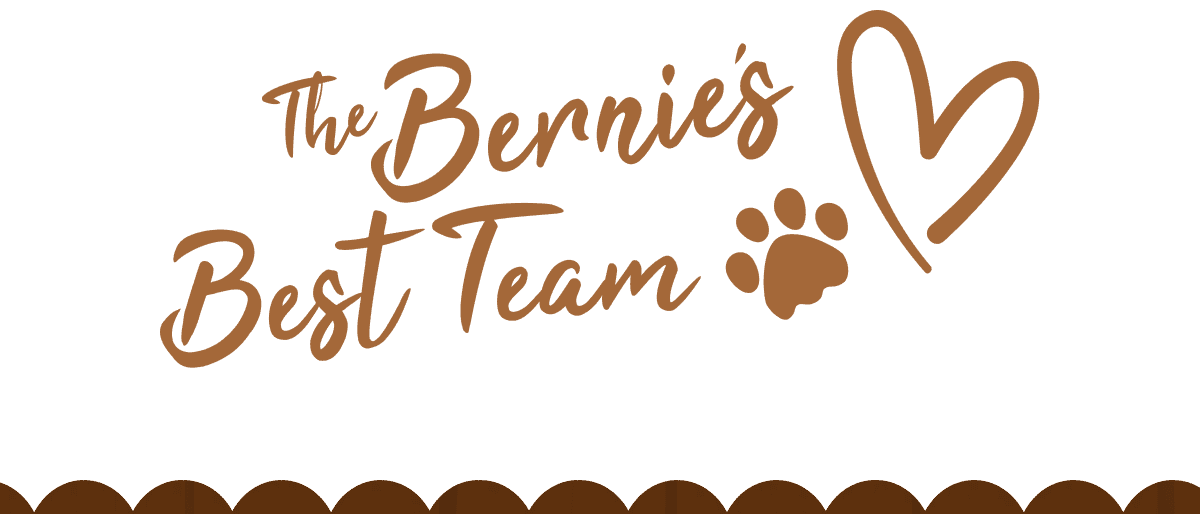 The Bernie's Best Team  >> SHOP FOR 10% OFF <<