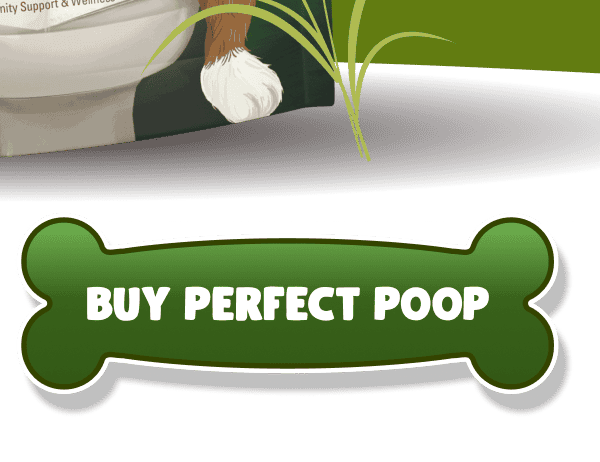 BUY PERFECT POOP