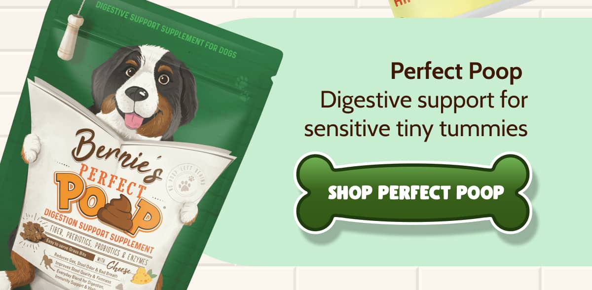Perfect Poop  Digestive support for sensitive tiny tummies.  >> SHOP PERFECT POOP << 