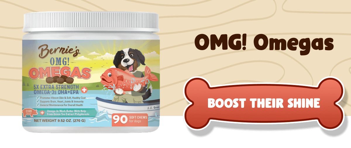 OMG! Omegas   5x strength omega-3s for skin, coat, brain, and immune health.   >> SHOP NOW << 