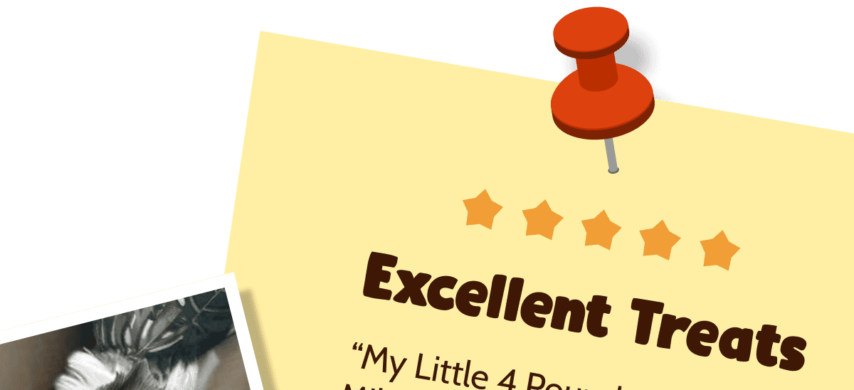 ⭐⭐⭐⭐⭐  Excellent Treats 