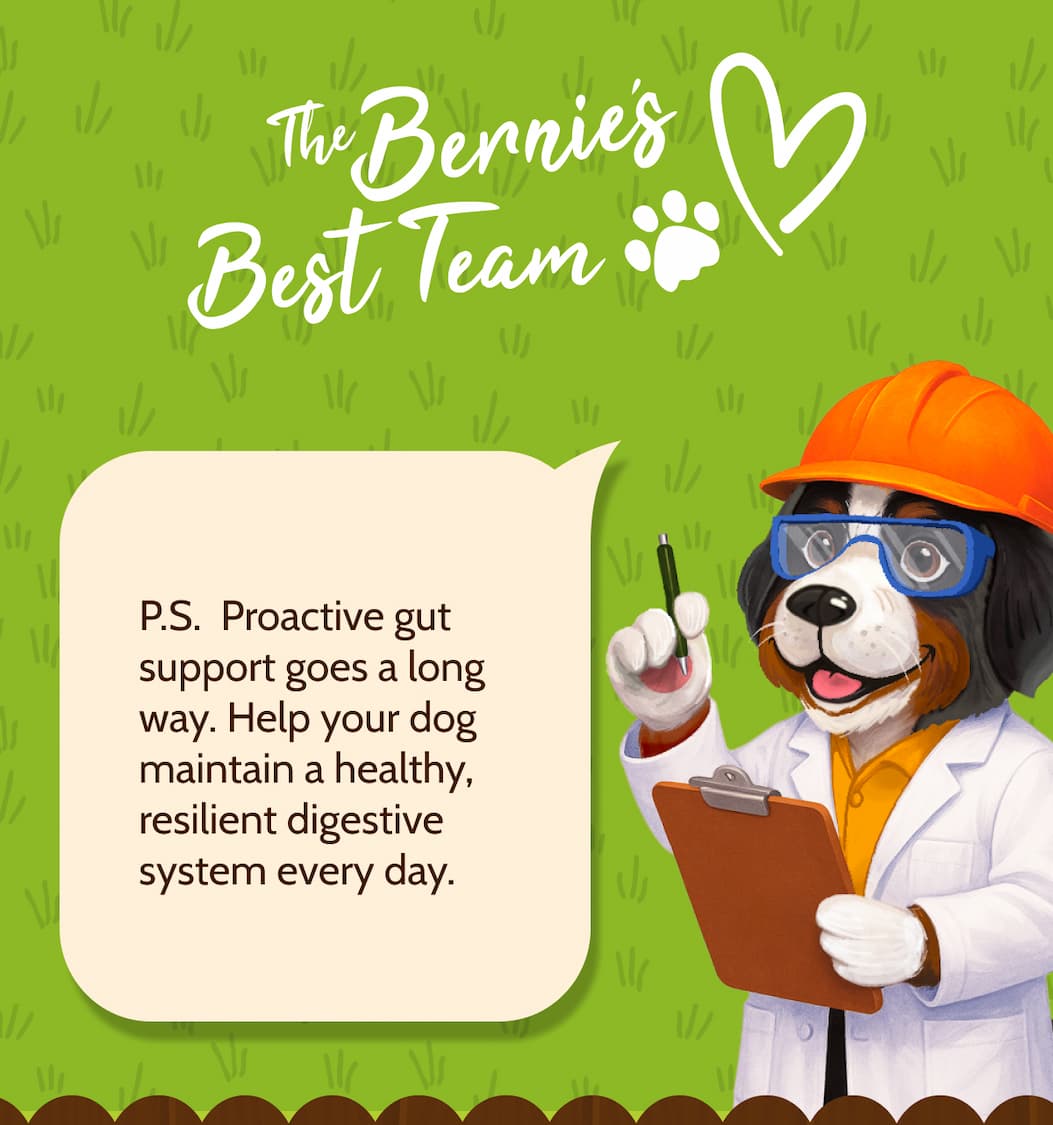 P.S. . Proactive gut support goes a long way. Help your dog maintain a healthy, resilient digestive system every day.