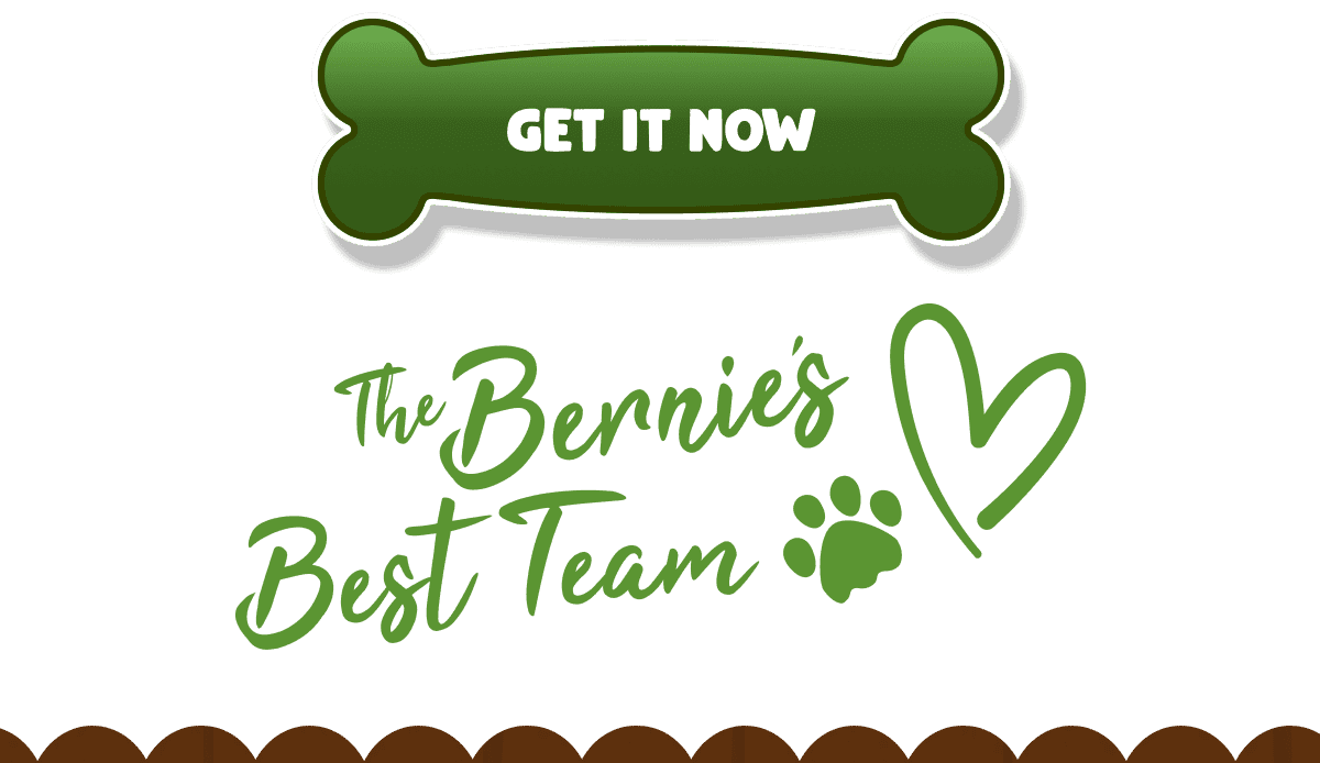 >> GET IT NOW <<  The Bernie's Best Team 