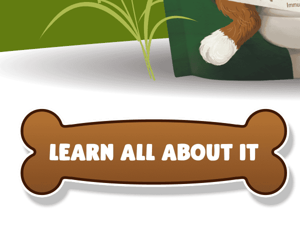  LEARN ALL ABOUT IT