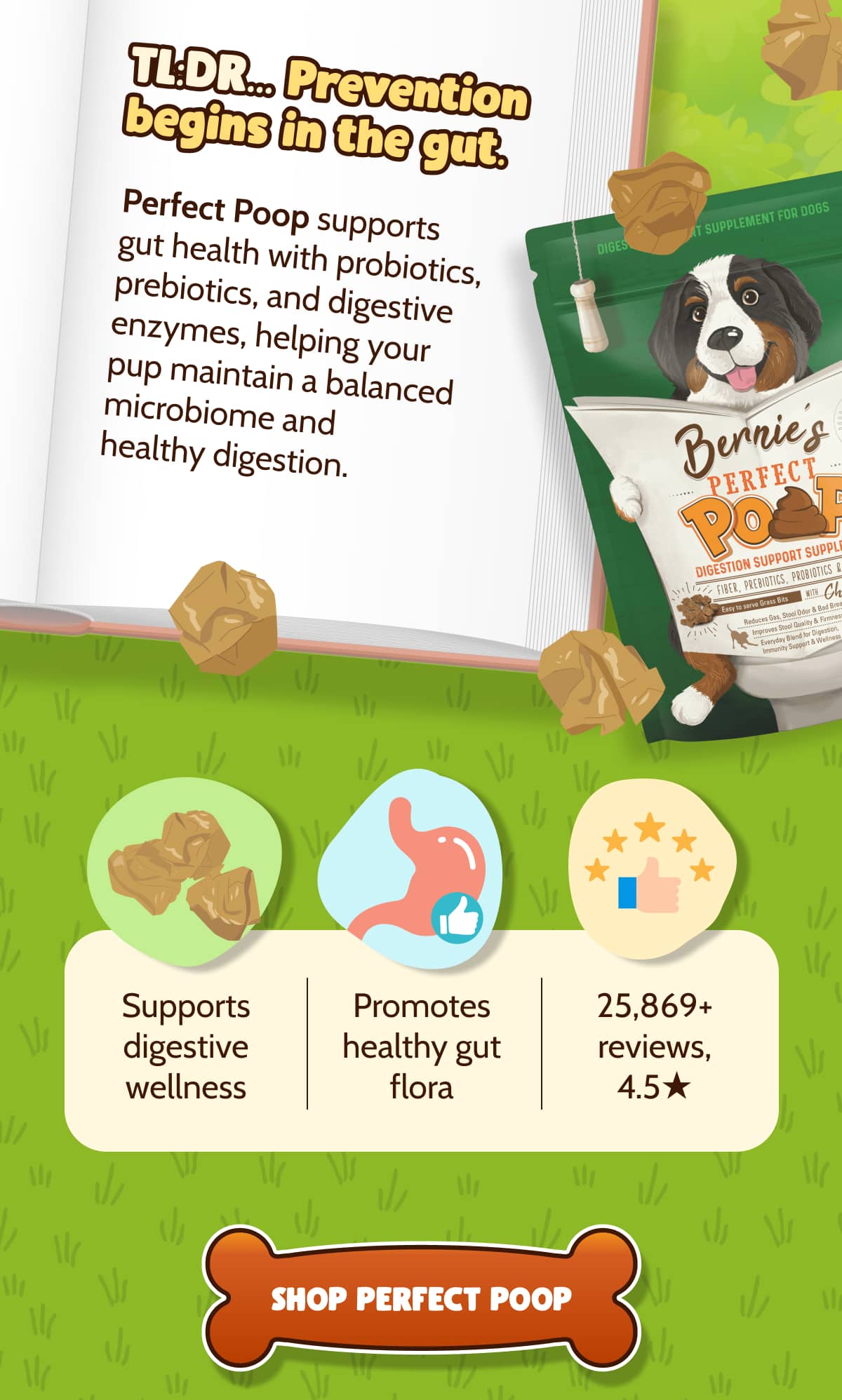 TL:DR… Prevention begins in the gut.  Perfect Poop supports gut health with probiotics, prebiotics, and digestive enzymes, helping your pup maintain a balanced microbiome and     healthy digestion.