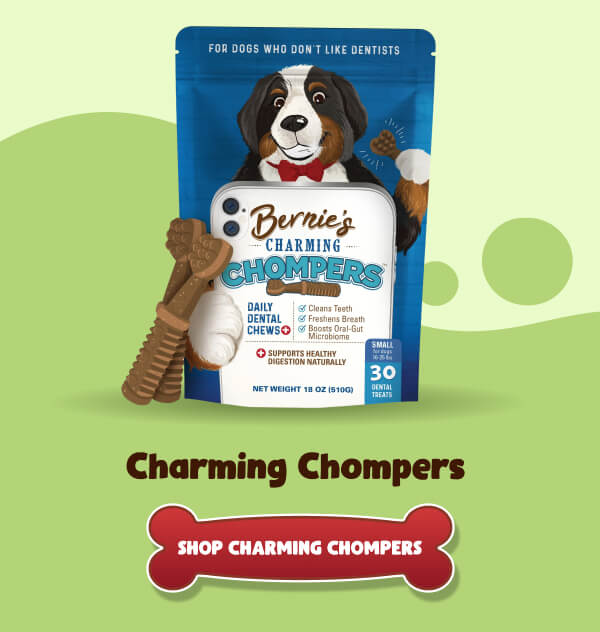 Charming Chompers  >> SHOP CHARMING CHOMPERS <<