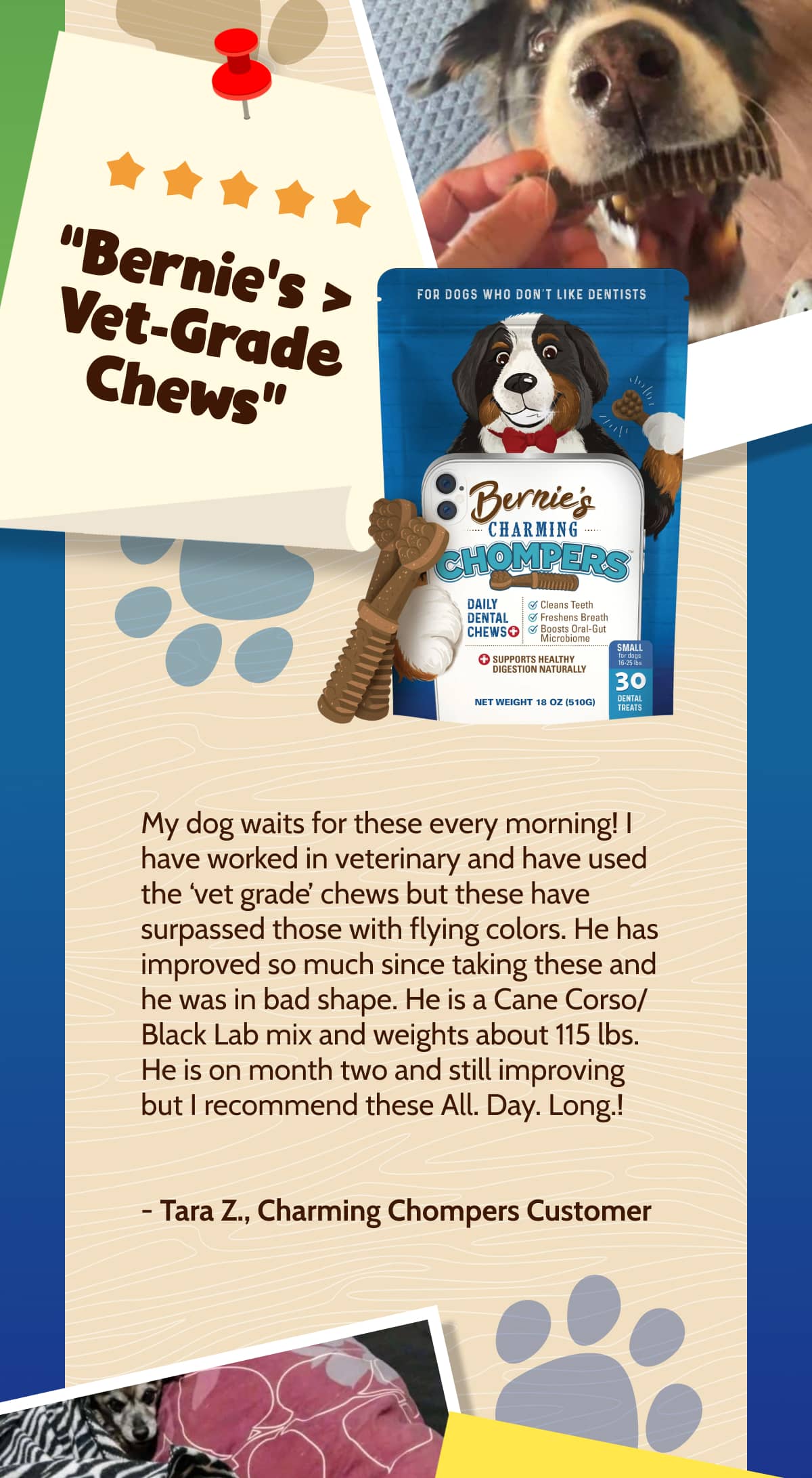 My dog waits for these every morning! I have worked in veterinary and have used the 'vet grade' chews but these have surpassed those with flying colors. He has improved so much since taking these and he was in bad shape. He is a Cane Corso/ Black Lab mix and weights about 115 lbs. He is on month two and still improving but I recommend these All. Day. Long.!  - Tara Z., Charming Chompers Customer 
