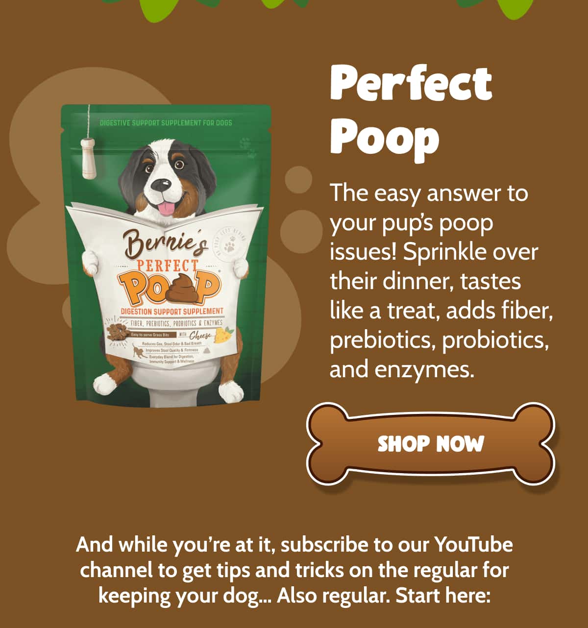 Perfect Poop     The easy answer to your pup’s poop issues! Sprinkle over their dinner, tastes like a treat, adds fiber, prebiotics, probiotics, and enzymes.   >> SHOP NOW <<     And while you’re at it, subscribe to our YouTube channel to get tips and tricks on the regular for keeping your dog… Also regular. Start here: Why This Specific Grass Is Good for Your Dog’s Gut | Bernie's Best