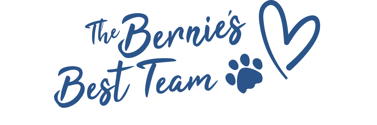 The Bernie’s Best Team