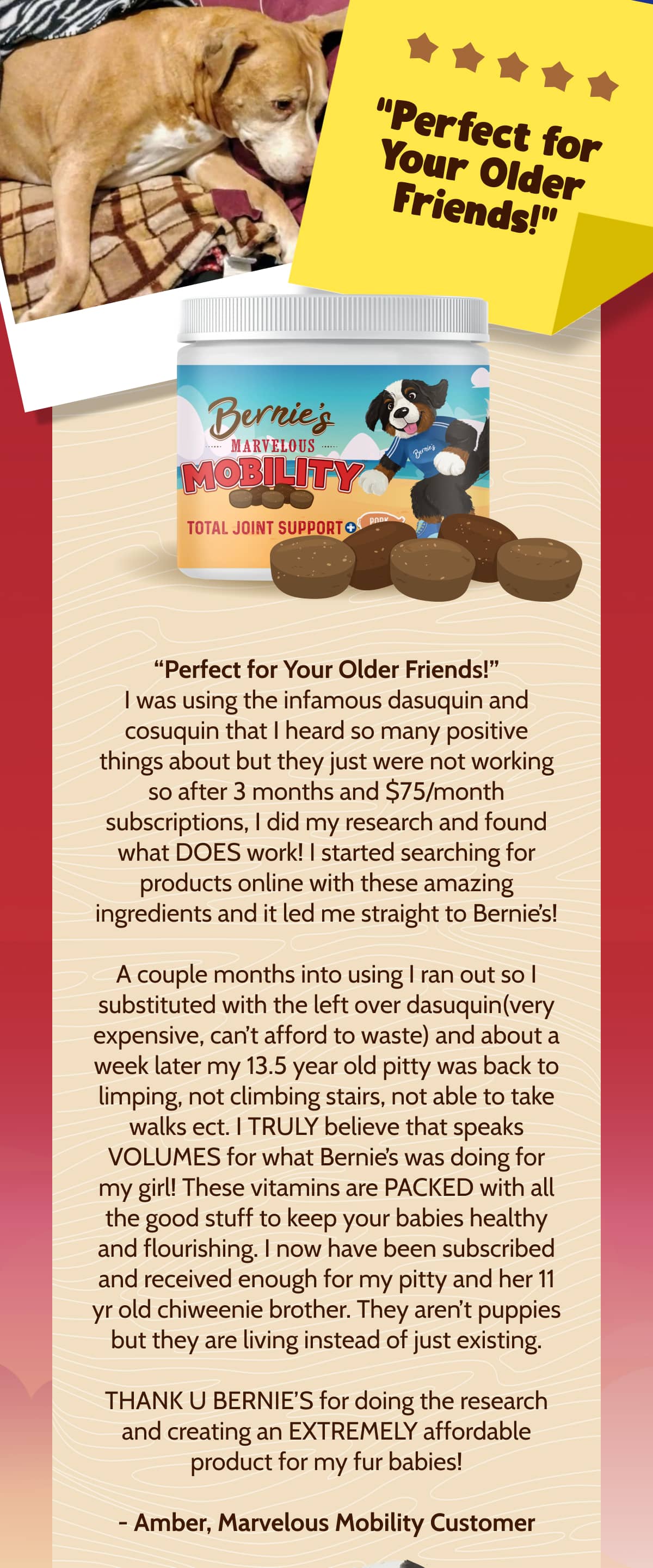 I was using the infamous dasuquin and cosuquin that I heard so many positive things about but they just were not working so after 3 months and $75/month subscriptions, I did my research and found what DOES work! I started searching for products online with these amazing ingredients and it led me straight to Bernie's! A couple months into using I ran out so I substituted with the left over dasuquin(very expensive, can't afford to waste) and about a week later my 13.5 year old pitty was back to limping, not climbing stairs, not able to take walks ect. I TRULY believe that speaks VOLUMES for what Bernie's was doing for my girl! These vitamins are PACKED with all the good stuff to keep your babies healthy and flourishing. I now have been subscribed and received enough for my pitty and her 11 yr old chiweenie brother. They aren't puppies but they are living instead of just existing. THANK U BERNIE'S for doing the research and creating an EXTREMELY affordable product for my fur babies! - Amber, Marvelous Mobility Customer 